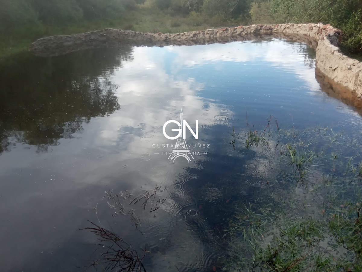 Campo Ref.2800 - Campo ganadero en Tacuarembó.