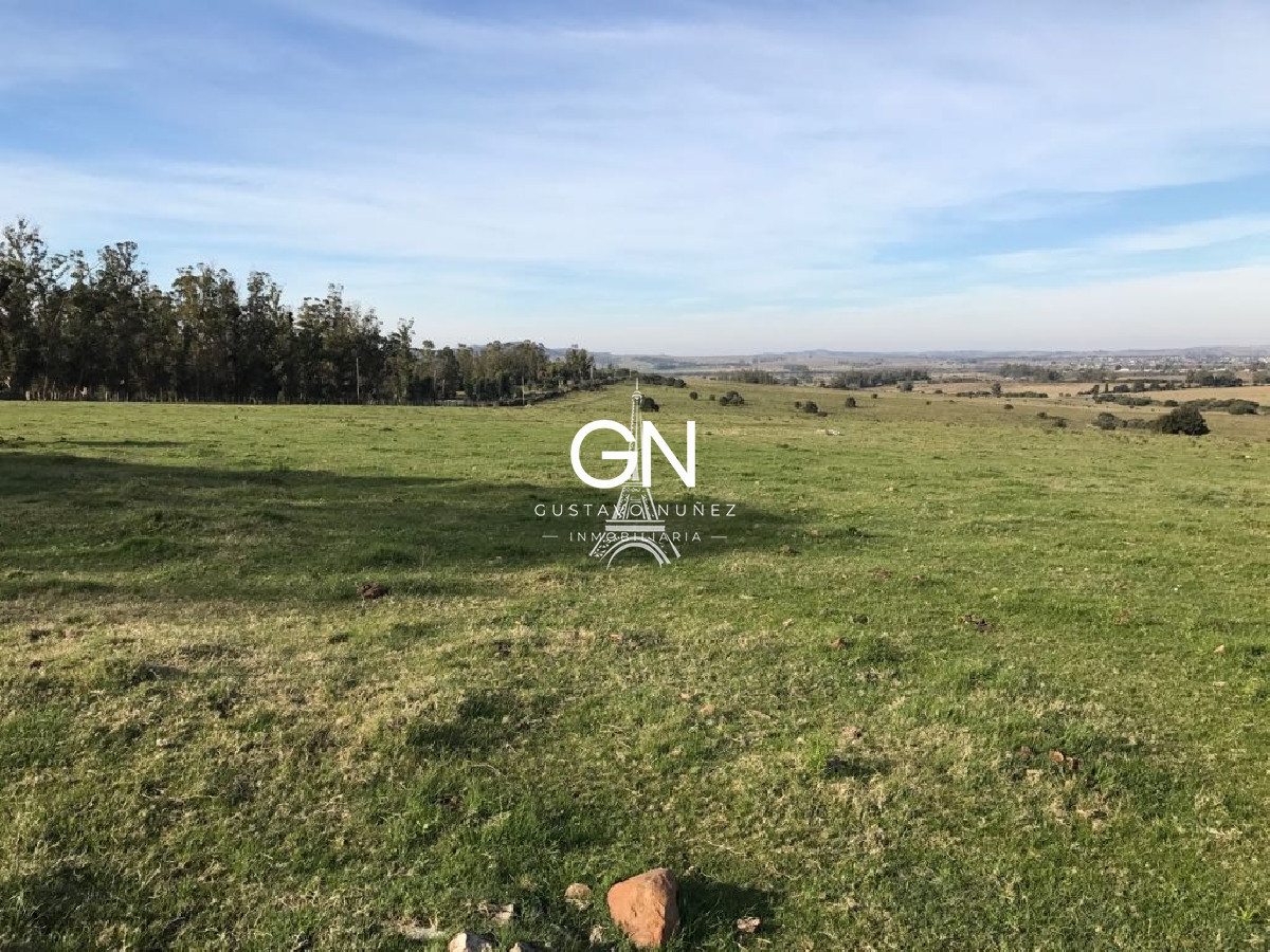 Campo Ref.2980 - 123 hectáreas a pocos kilómetros de Pan De Azúcar