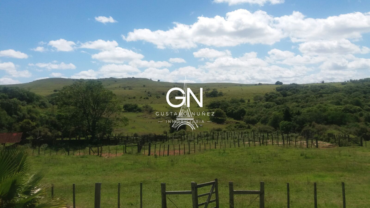 Campo Ref.2658 - Campo en Tacuarembó