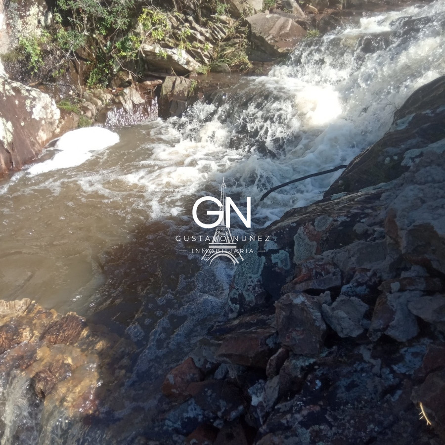 Campo Ref.2800 - Campo ganadero en Tacuarembó.