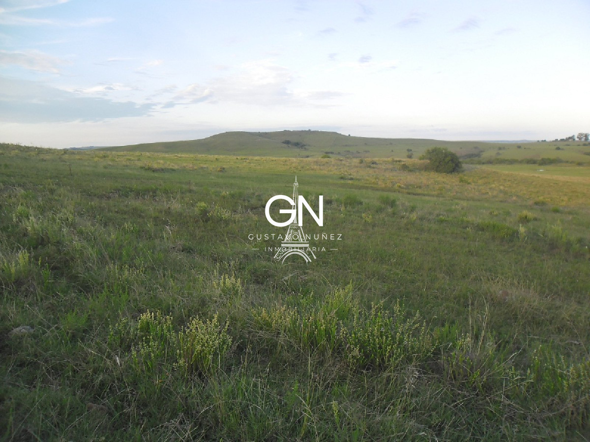 Campo Ref.2658 - Campo en Tacuarembó