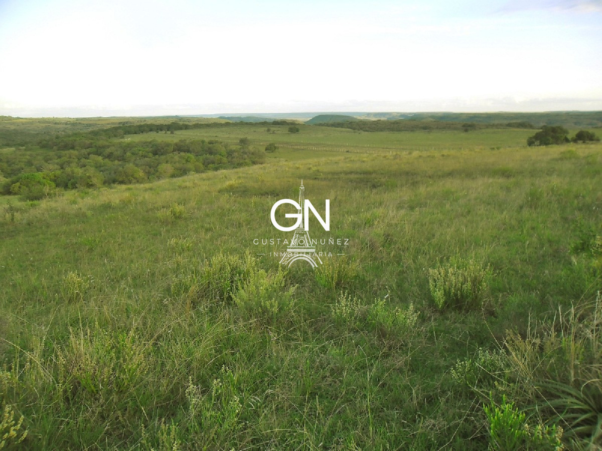 Campo Ref.2658 - Campo en Tacuarembó