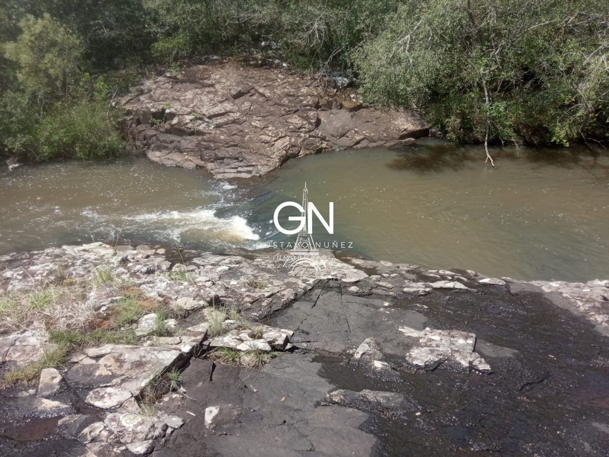 Campo Ref.2800 - Campo ganadero en Tacuarembó.