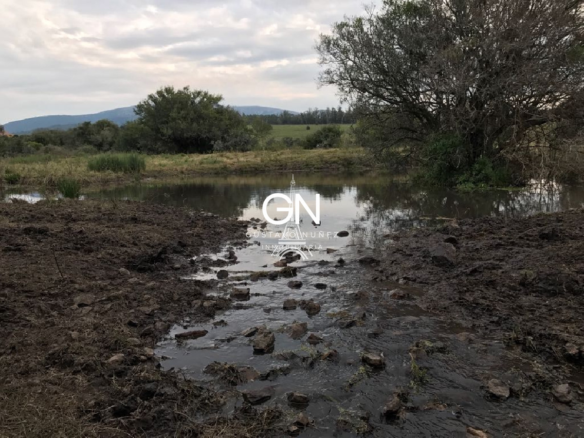Campo Ref.2980 - 123 hectáreas a pocos kilómetros de Pan De Azúcar