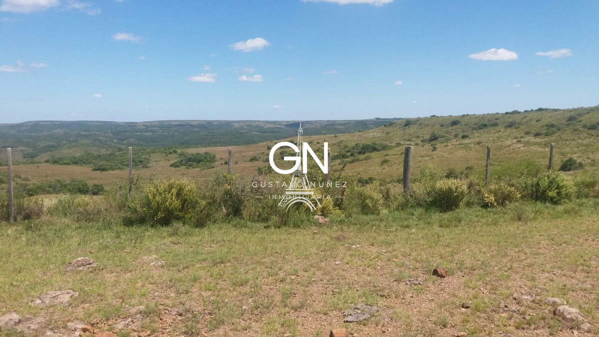 Campo Ref.2800 - Campo ganadero en Tacuarembó.