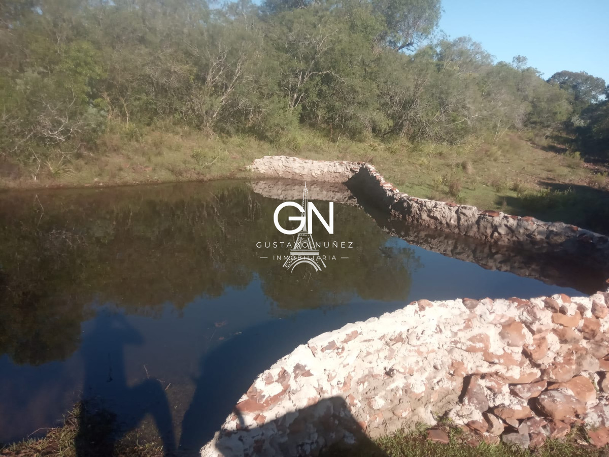 Campo Ref.2800 - Campo ganadero en Tacuarembó.