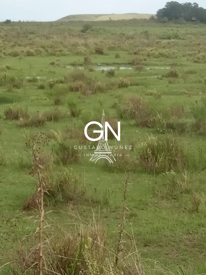 Campo Ref.2800 - Campo ganadero en Tacuarembó.