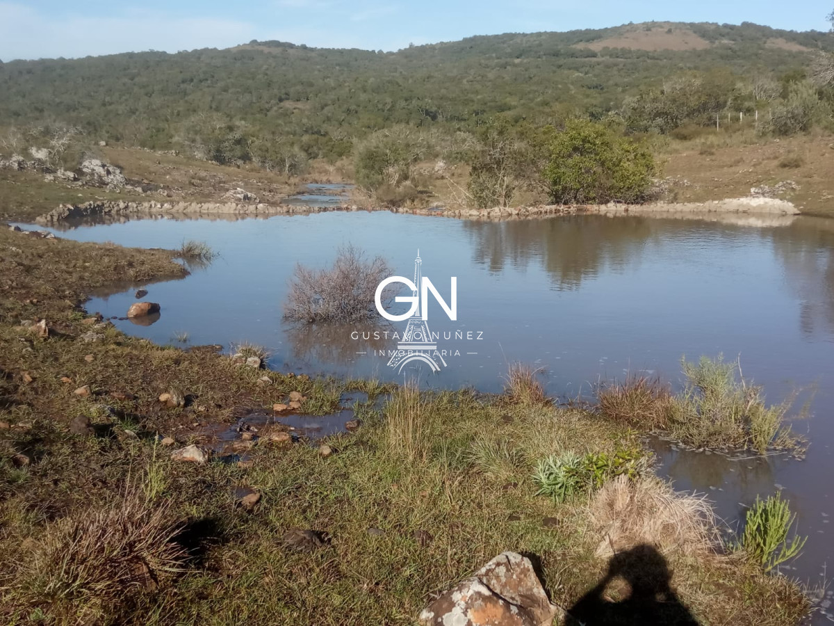 Campo Ref.2800 - Campo ganadero en Tacuarembó.