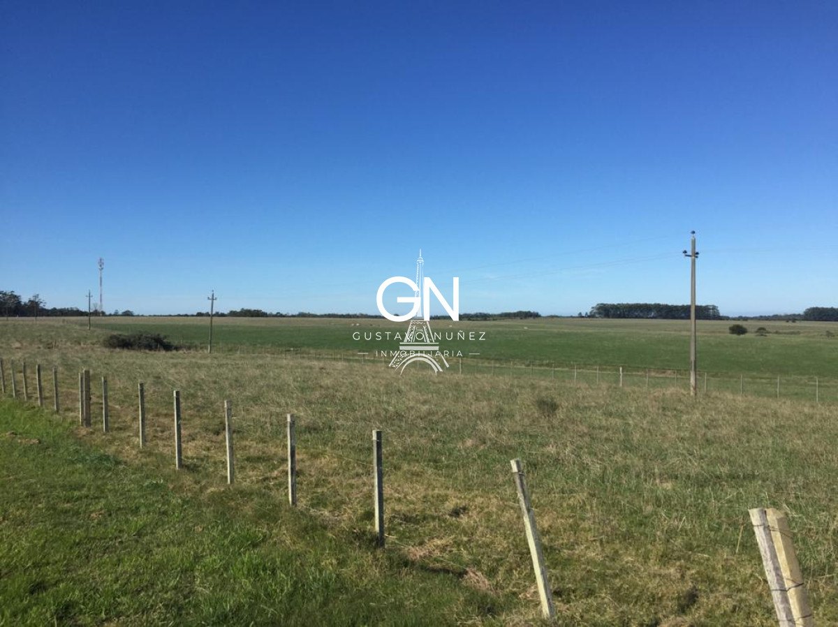 Campo Ref.3548 - Hectáreas sobre ruta IB