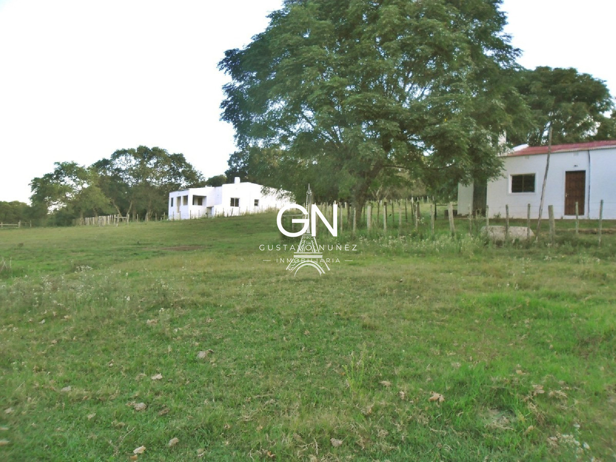 Campo Ref.2658 - Campo en Tacuarembó