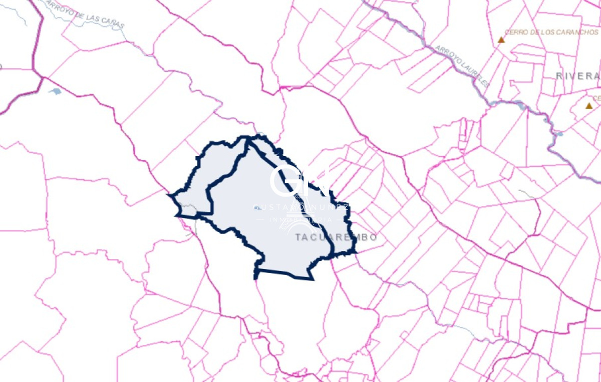 Campo Ref.2800 - Campo ganadero en Tacuarembó.