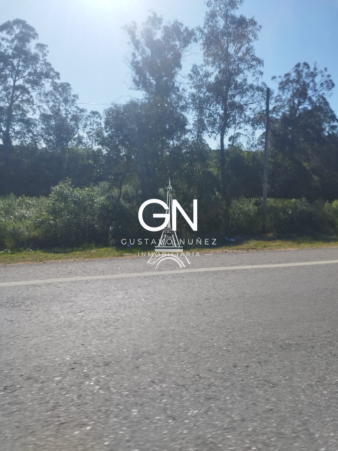 Campo Ref.4391 - Campo en , 