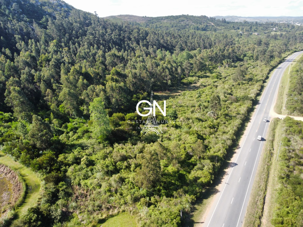 Campo Ref.4391 - Campo en , 