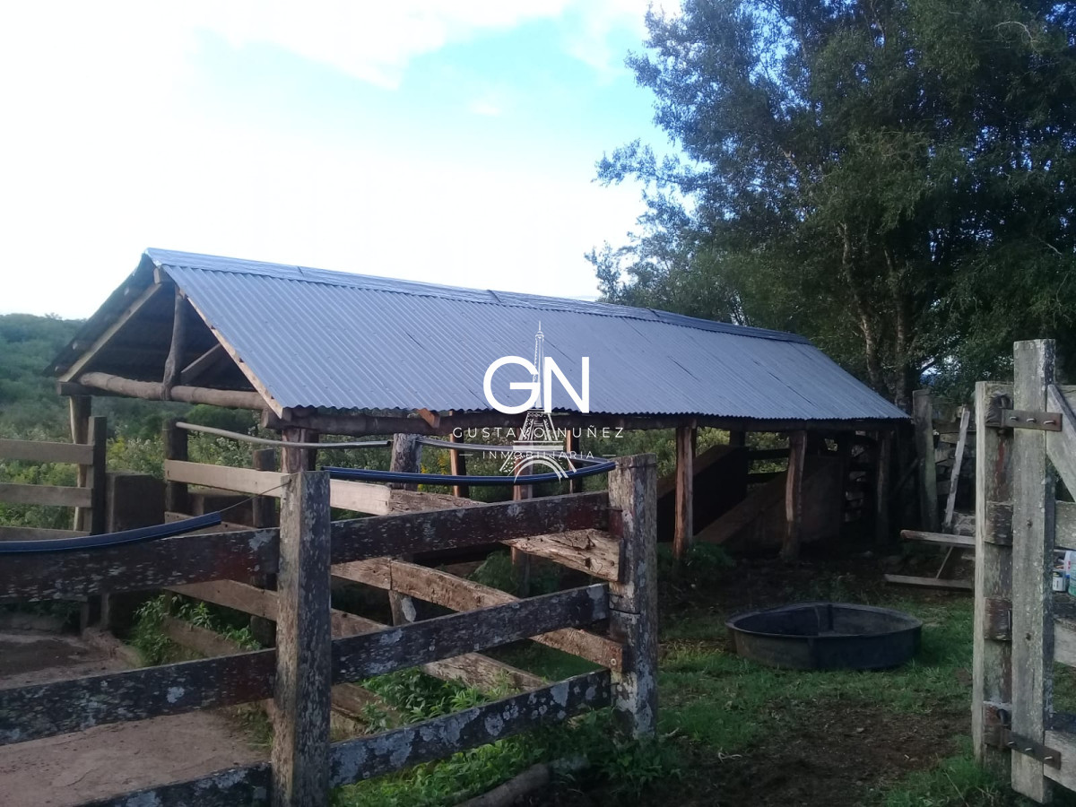 Campo Ref.4569 - Campo ganadero