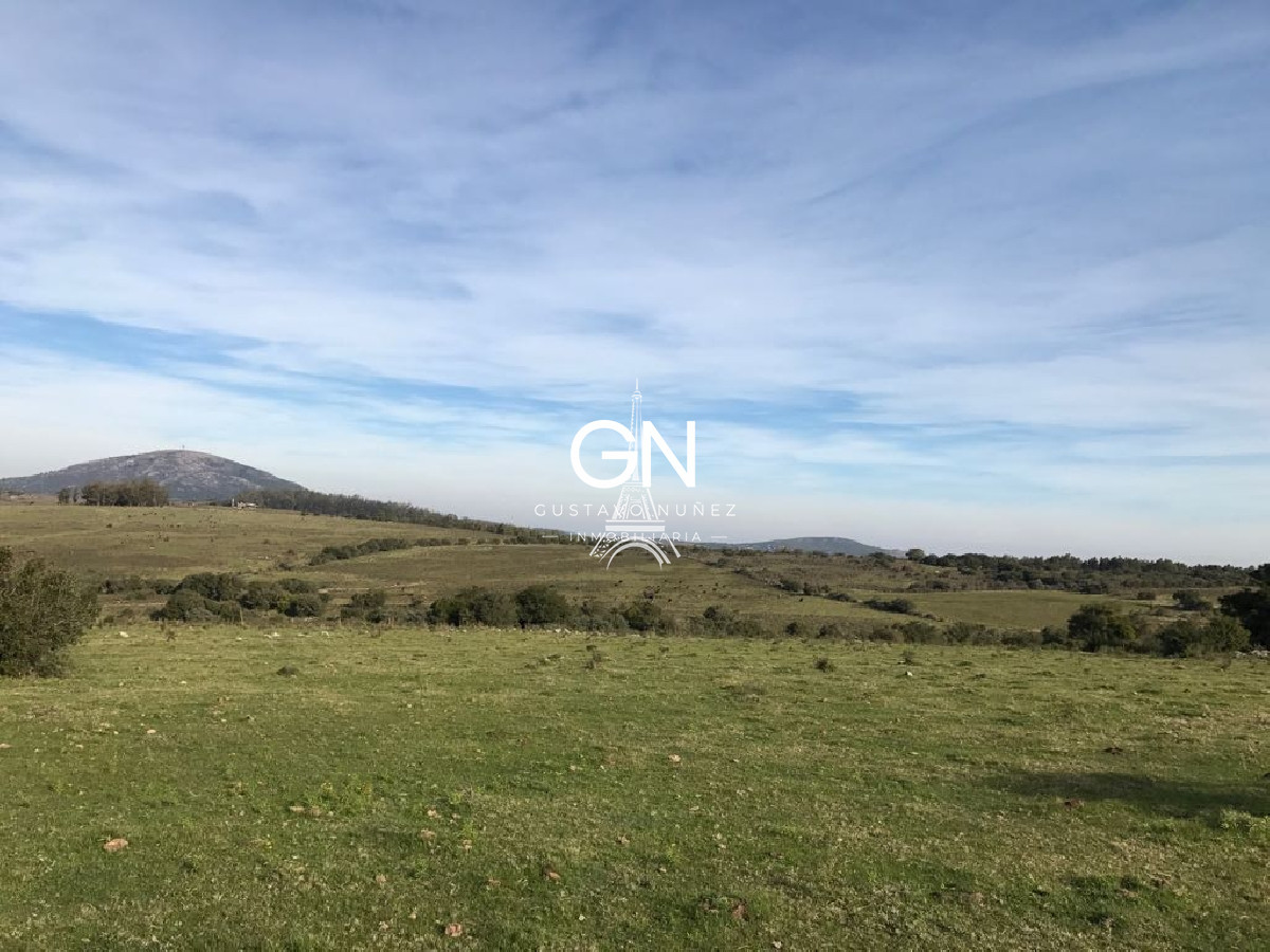 Campo Ref.2980 - 123 hectáreas a pocos kilómetros de Pan De Azúcar