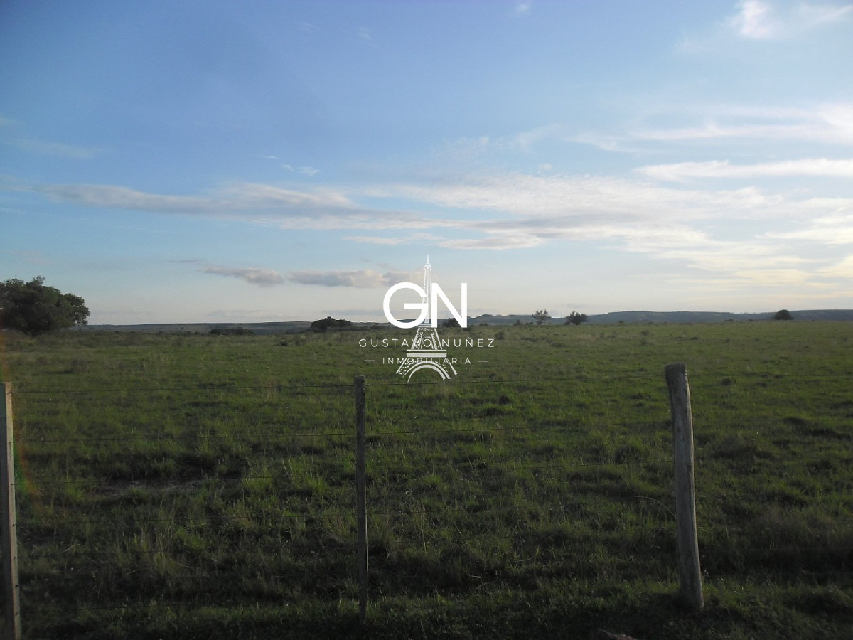 Campo Ref.2658 - Campo en Tacuarembó