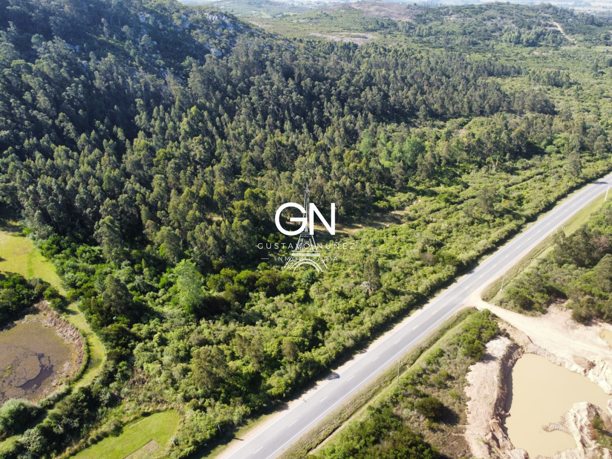 Campo Ref.4391 - Campo en , 