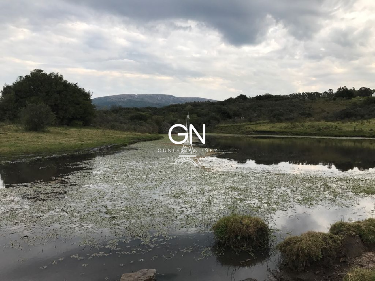 Campo Ref.2980 - 123 hectáreas a pocos kilómetros de Pan De Azúcar