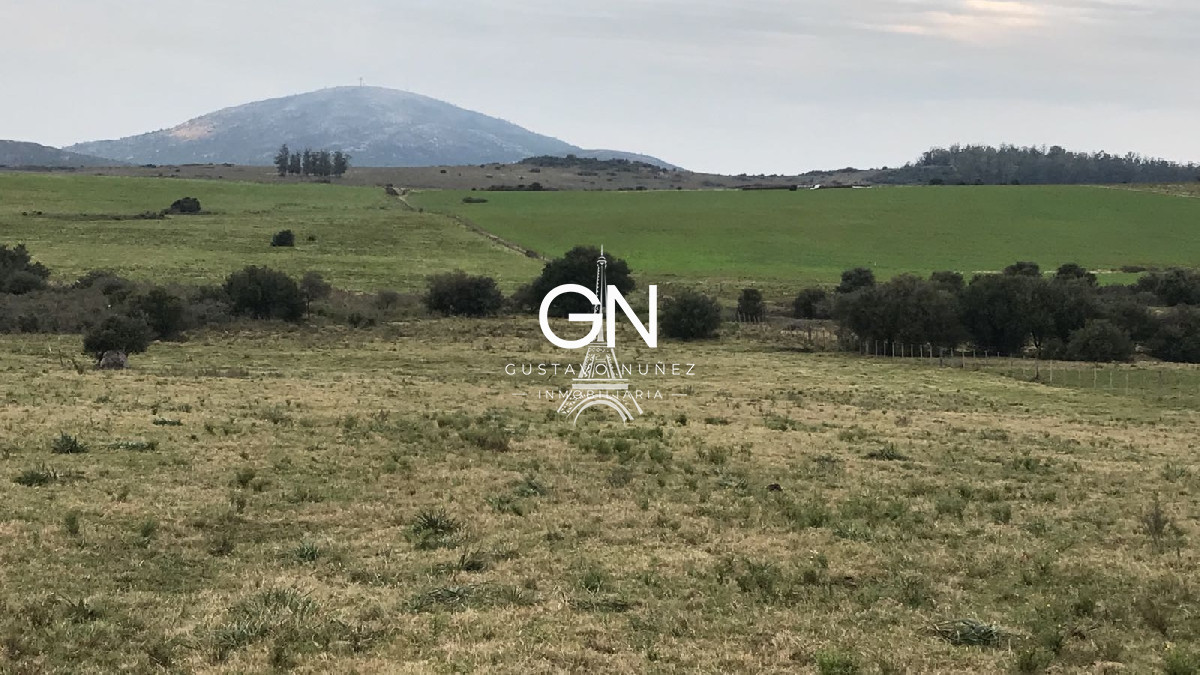 Campo Ref.2980 - 123 hectáreas a pocos kilómetros de Pan De Azúcar