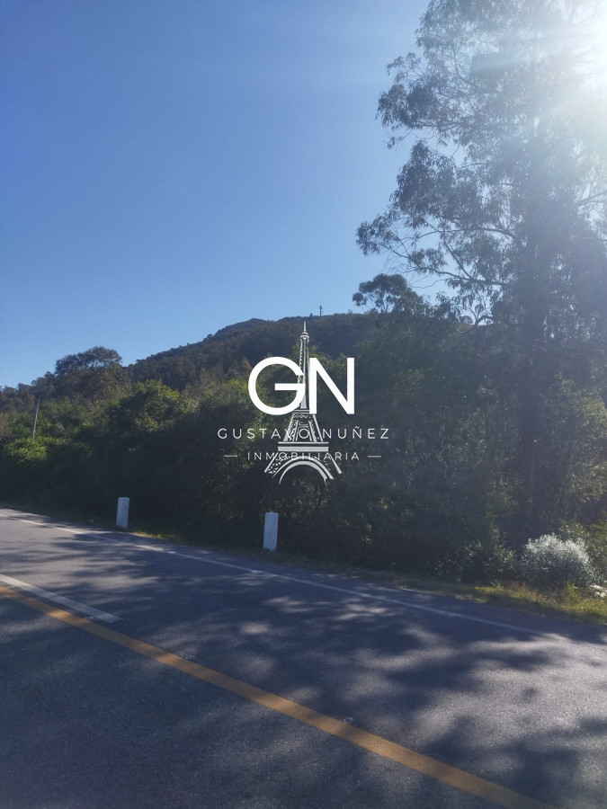 Campo Ref.4391 - Campo en , 