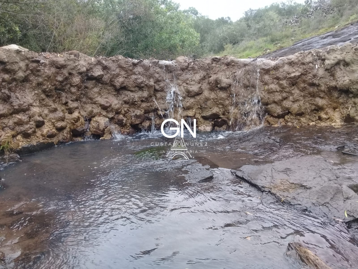 Campo Ref.2658 - Campo en Tacuarembó