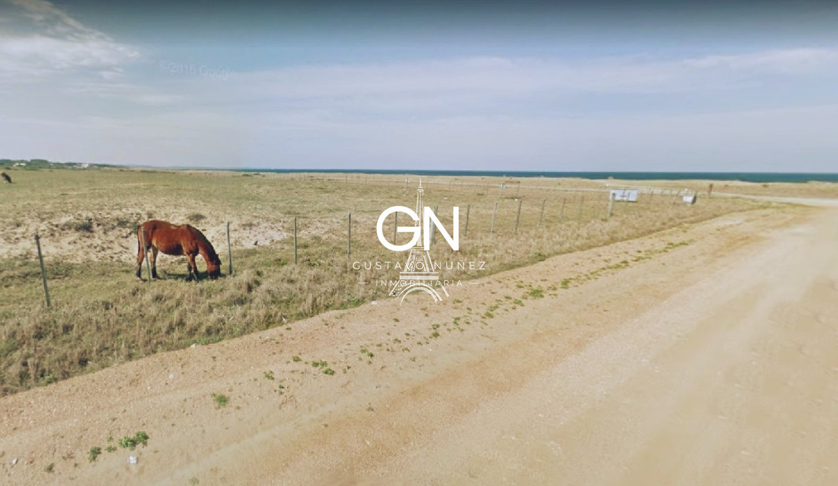 Campo Ref.2946 - Excepcionales 43 hectáreas frente al mar 