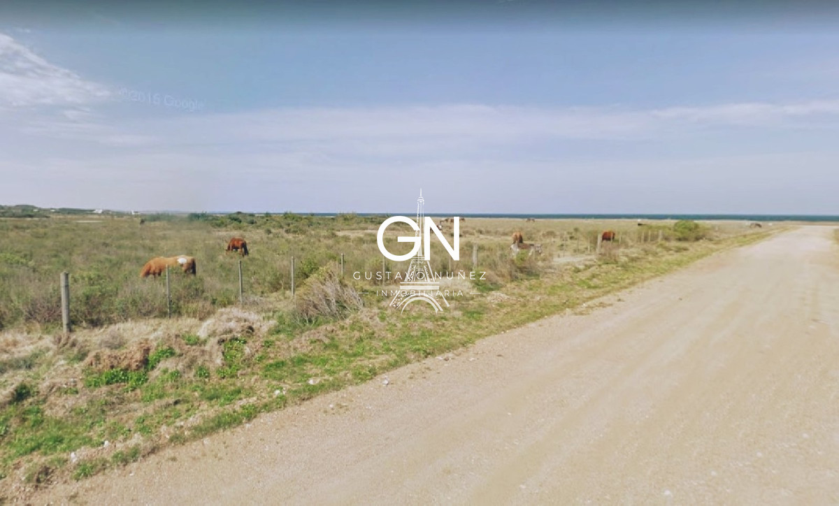 Campo Ref.2946 - Excepcionales 43 hectáreas frente al mar 