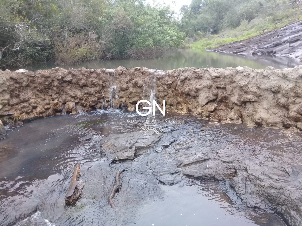 Campo Ref.2658 - Campo en Tacuarembó