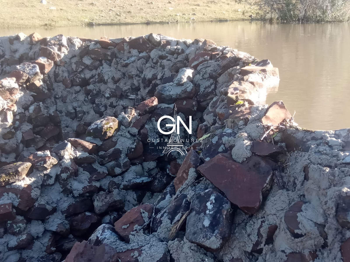 Campo Ref.2800 - Campo ganadero en Tacuarembó.