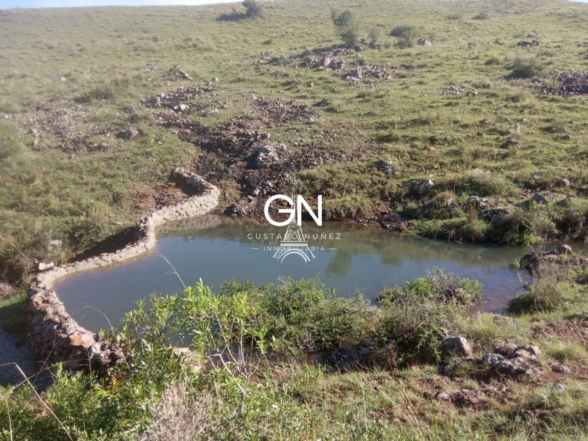 Campo Ref.2800 - Campo ganadero en Tacuarembó.