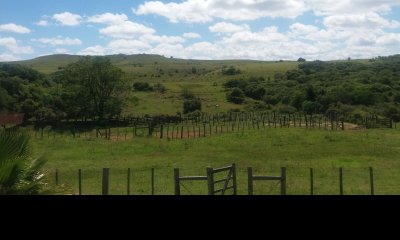 Campo en Tacuarembó