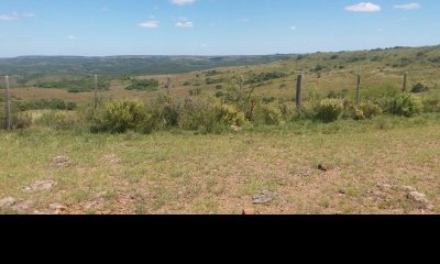 Campo ganadero en Tacuarembó.