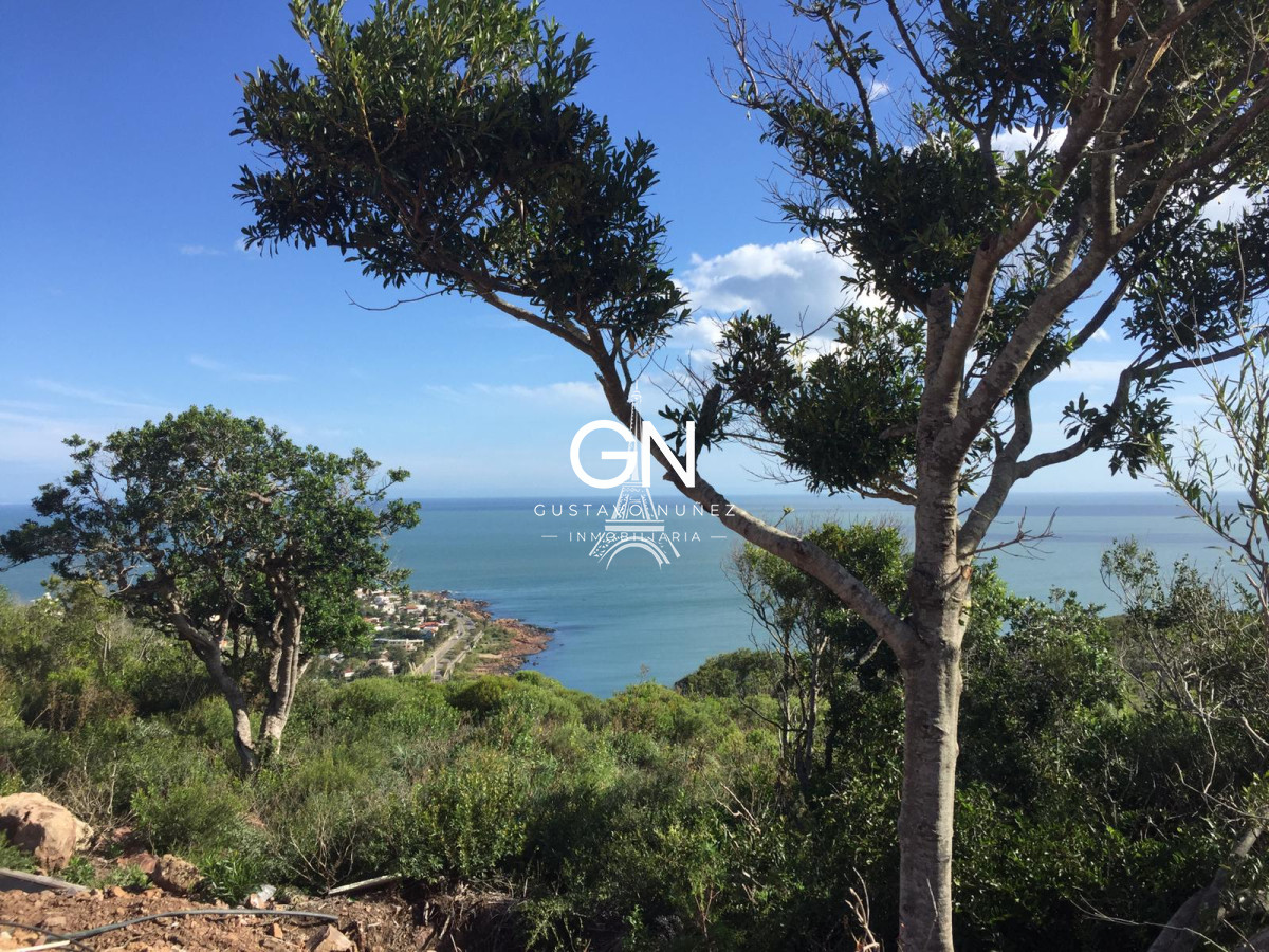 Terreno ID.3772 - Espectacular Hectárea !!