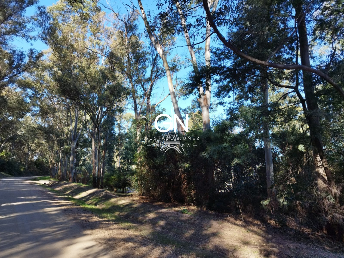 Terreno ID.3983 - Dos terrenos sobre el arroyo Solis