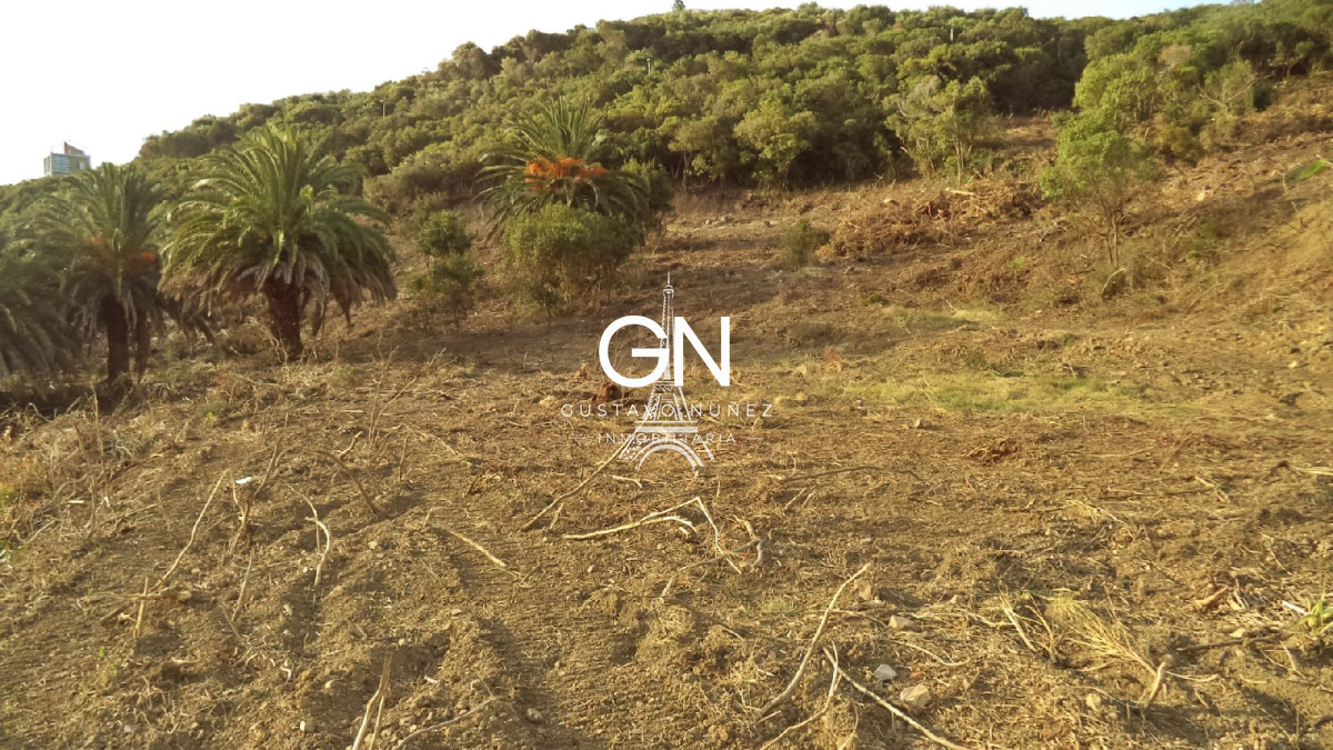 Terreno ID.2671 - Atención inversores !!