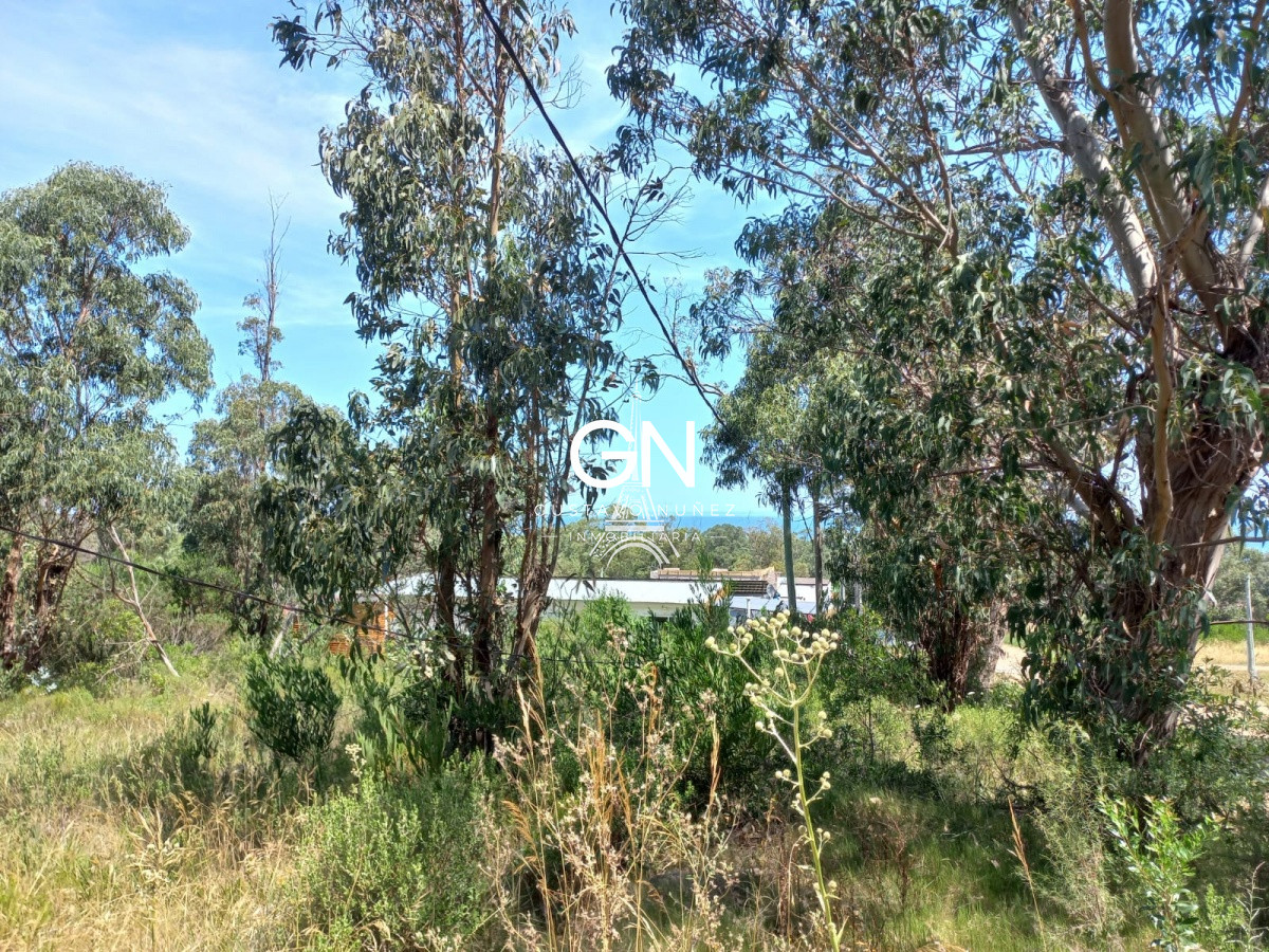 Terreno ID.3974 - Terreno en Piriápolis, Punta Fria