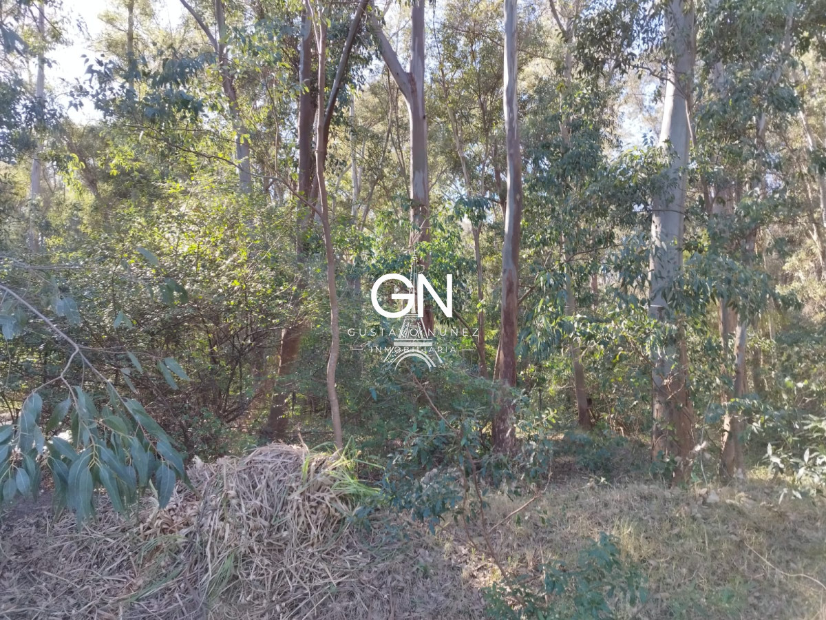 Terreno ID.3983 - Dos terrenos sobre el arroyo Solis