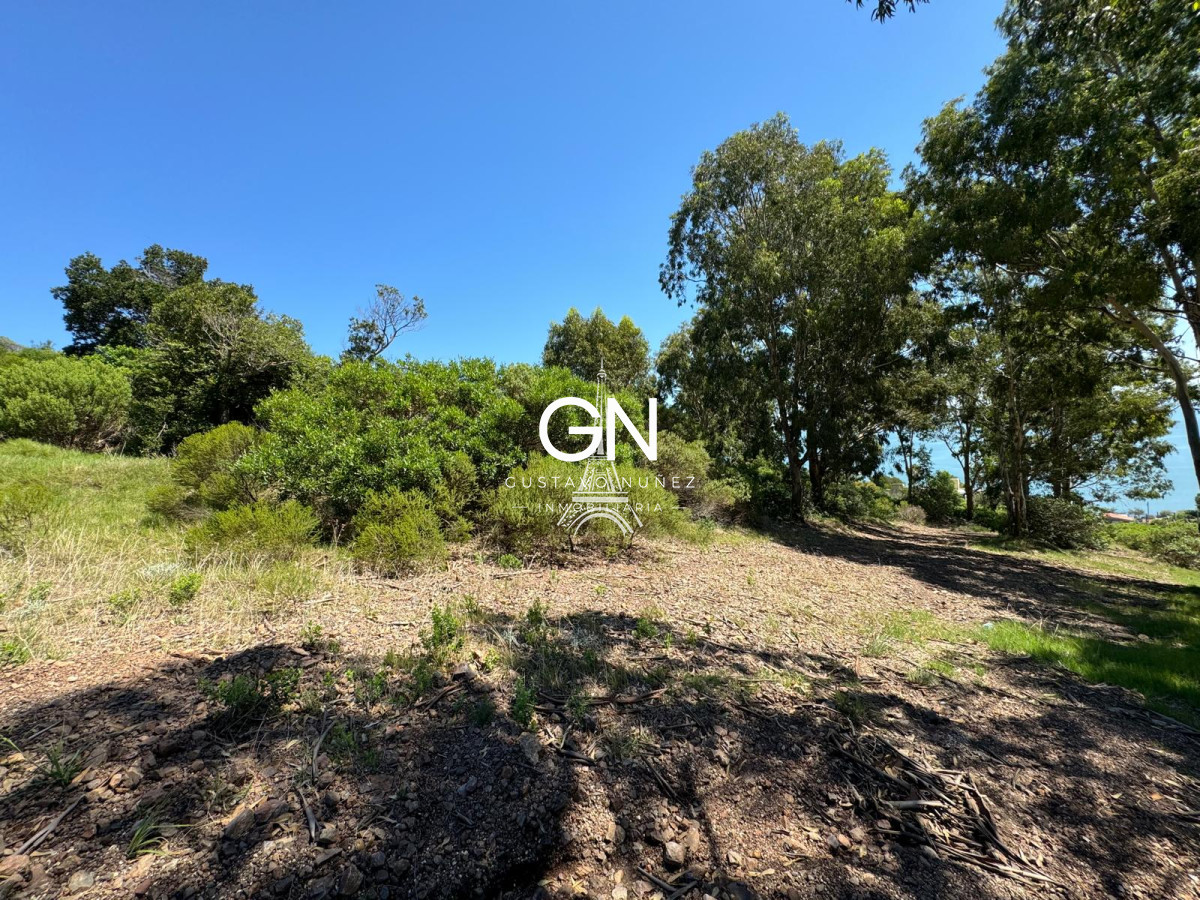 Terreno ID.4728 - Terreno en Piriápolis, Cerro San Antonio