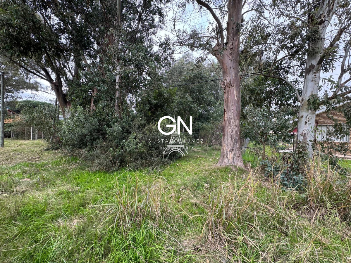 Terreno ID.4795 - A metros de la ruta 10