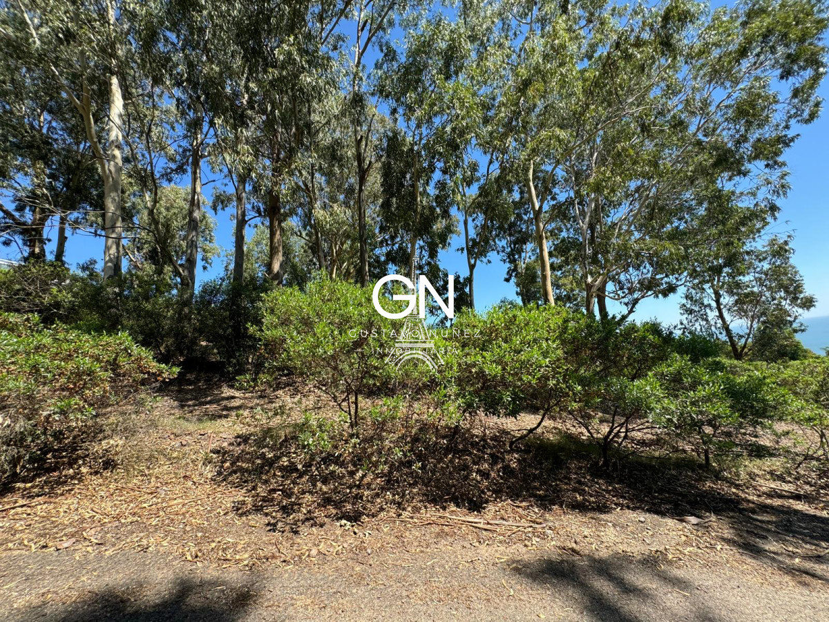 Terreno ID.4728 - Terreno en Piriápolis, Cerro San Antonio