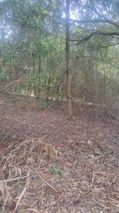 Terreno en Bella Vista