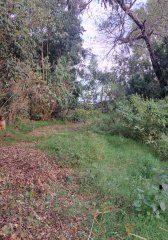 Hermoso lote cerca del mar