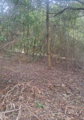 Terreno en Bella Vista