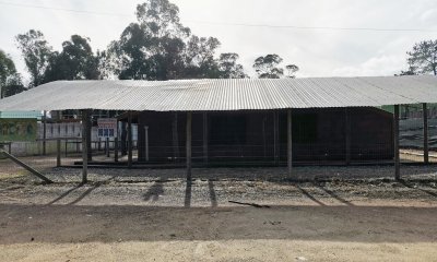 Terreno con cabaña