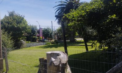 Terreno centrico