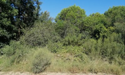 Terreno en Piriápolis, Cerro del Burro