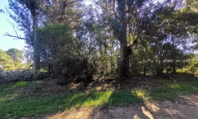 Excelente terreno