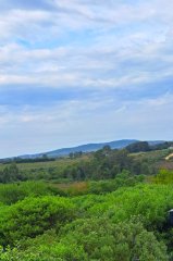 Terreno con hermosa vista