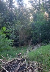 Terreno en Piriápolis, Bella Vista