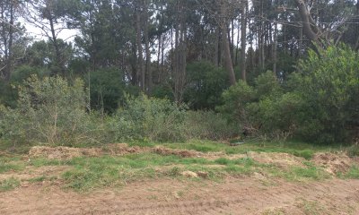 Terreno ubicado en Punta Colorada